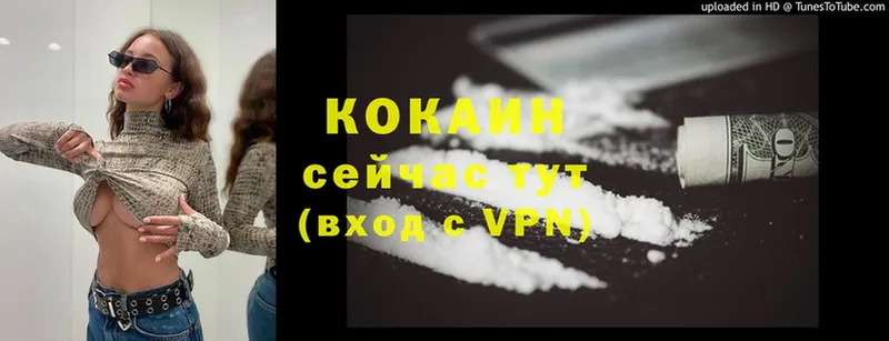 Cocaine Fish Scale  Курчалой 